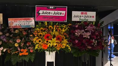 JP NEW 20260527-1441-292
