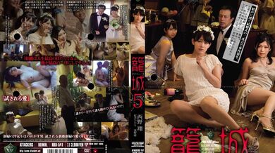 JP NEW 20260528-1940-786