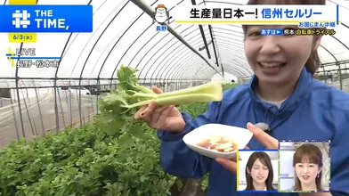 JP NEW 20260603-1640-237