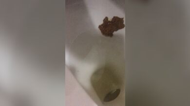 KR TWITTER PORN VIDEOS 00073990