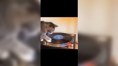 KR TWITTER PORN VIDEOS 00048367