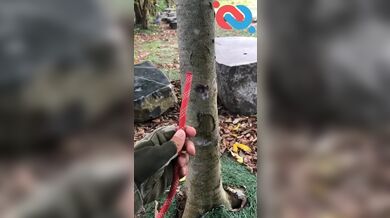 KR TWITTER PORN VIDEOS 00125581
