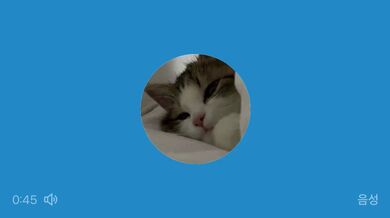 KR TWITTER PORN VIDEOS 00184231