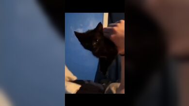 KR TWITTER PORN VIDEOS 00099971