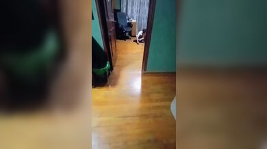 KR TWITTER PORN VIDEOS 00035581