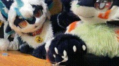 KR TWITTER PORN VIDEOS 00074340