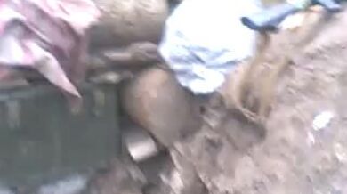 KR TWITTER PORN VIDEOS 00005851