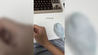 KR TWITTER PORN VIDEOS 00006053