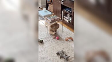 KR TWITTER PORN VIDEOS 00084130