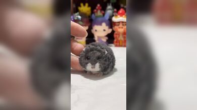 KR TWITTER PORN VIDEOS 00084227