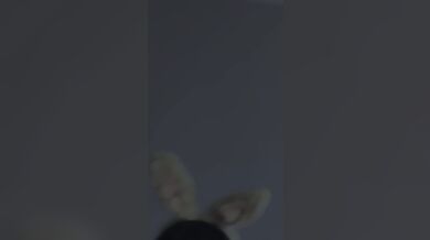 KR TWITTER PORN VIDEOS 00071375