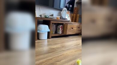 JP TWITTER PORN VIDEOS 00184751