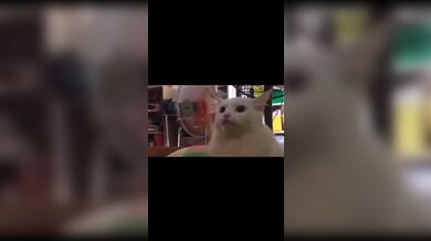 KR TWITTER PORN VIDEOS 00123042