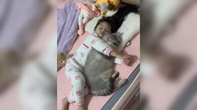 JP TWITTER PORN VIDEOS 00147752