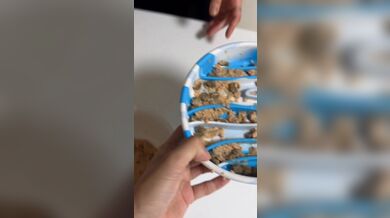 KR TWITTER PORN VIDEOS 00071610