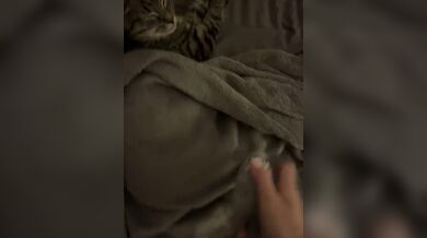 JP TWITTER PORN VIDEOS 00134480