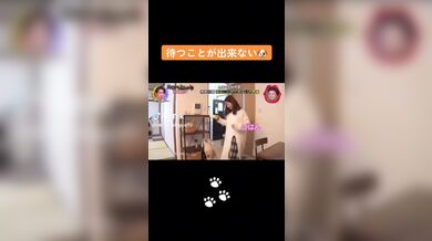 JP TWITTER PORN VIDEOS 00208753