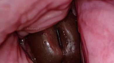 JP TWITTER PORN VIDEOS 00185033