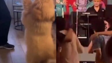 KR TWITTER PORN VIDEOS 00097462