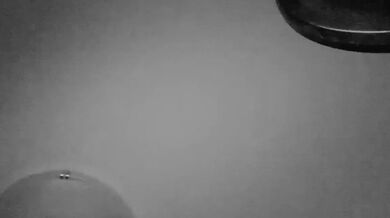 JP TWITTER PORN VIDEOS 00160900