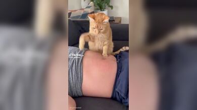 KR TWITTER PORN VIDEOS 00046255