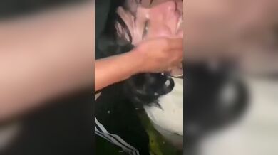 KR TWITTER PORN VIDEOS 00110537