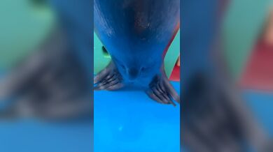 JP TWITTER PORN VIDEOS 00148222