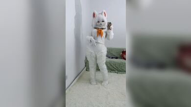 KR TWITTER PORN VIDEOS 00084979