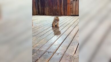 KR TWITTER PORN VIDEOS 00085059