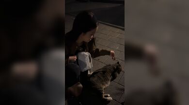 KR TWITTER PORN VIDEOS 00033627