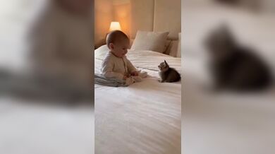 KR TWITTER PORN VIDEOS 00046466