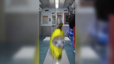 KR TWITTER PORN VIDEOS 00209531