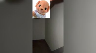 JP TWITTER PORN VIDEOS 00185715
