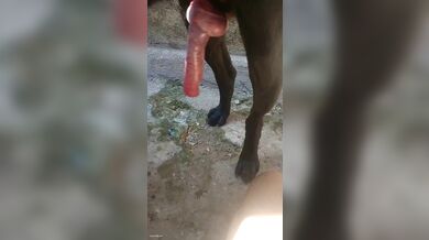 JP TWITTER PORN VIDEOS 00059597
