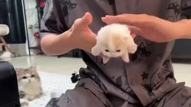 KR TWITTER PORN VIDEOS 00085646