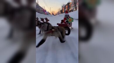 KR TWITTER PORN VIDEOS 00034223