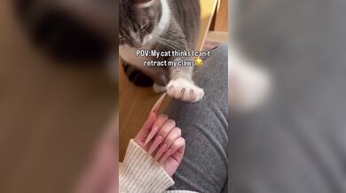 KR TWITTER PORN VIDEOS 00047024