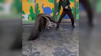 KR TWITTER PORN VIDEOS 00082558