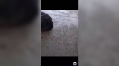 KR TWITTER PORN VIDEOS 00031172