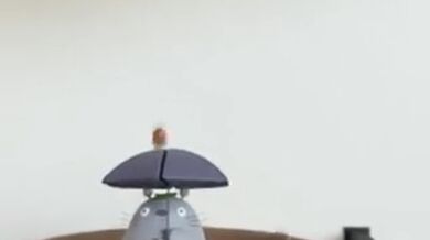 JP TWITTER PORN VIDEOS 00219967