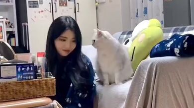 JP TWITTER PORN VIDEOS 00183052