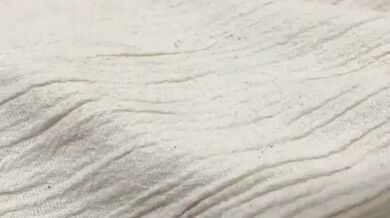 JP TWITTER PORN VIDEOS 00219988