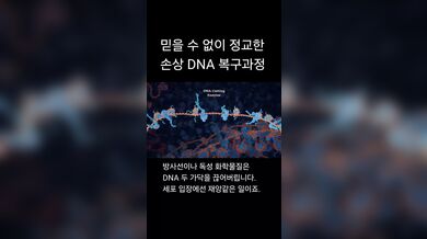 KR TWITTER PORN VIDEOS 00082715