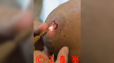 KR TWITTER PORN VIDEOS 00008074