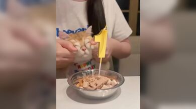 KR TWITTER PORN VIDEOS 00070143