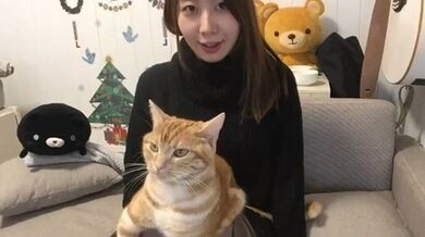 JP TWITTER PORN VIDEOS 00083043