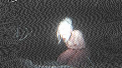 KR TWITTER PORN VIDEOS 00031591
