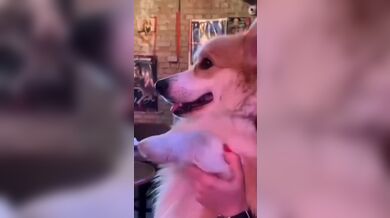 KR TWITTER PORN VIDEOS 00096036