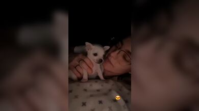 KR TWITTER PORN VIDEOS 00070387