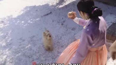 KR TWITTER PORN VIDEOS 00044776